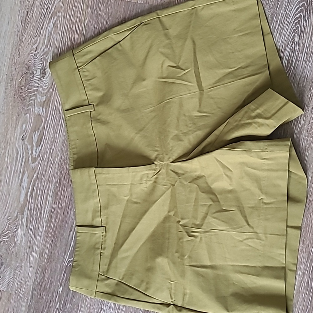 Ann Taylor Factory Flat Front Green Shorts Size 10
